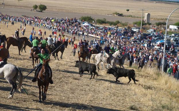 Cuatro festejos taurinos y un vermú de peñas ponen el broche a las fiestas de Mojados
