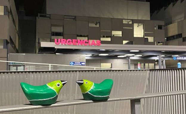Sueltan un millar de pájaros verdes de madrugada en las calles de Valladolid