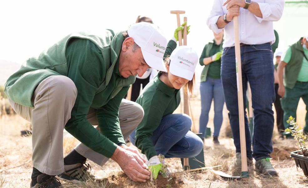 El presidente de Iberdrola participa en la jornada de reforestación de Navalacruz