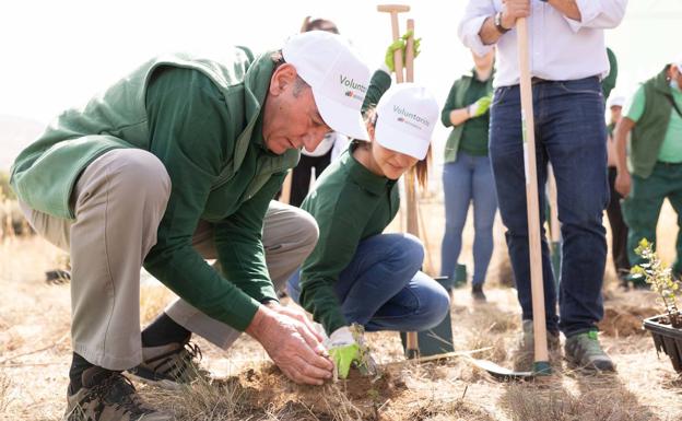 El presidente de Iberdrola participa en la jornada de reforestación de Navalacruz