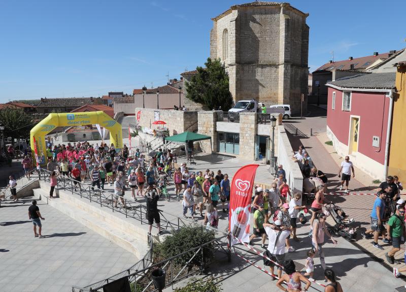 Palencia es la decimocuarta provincia española en rentas por habitante