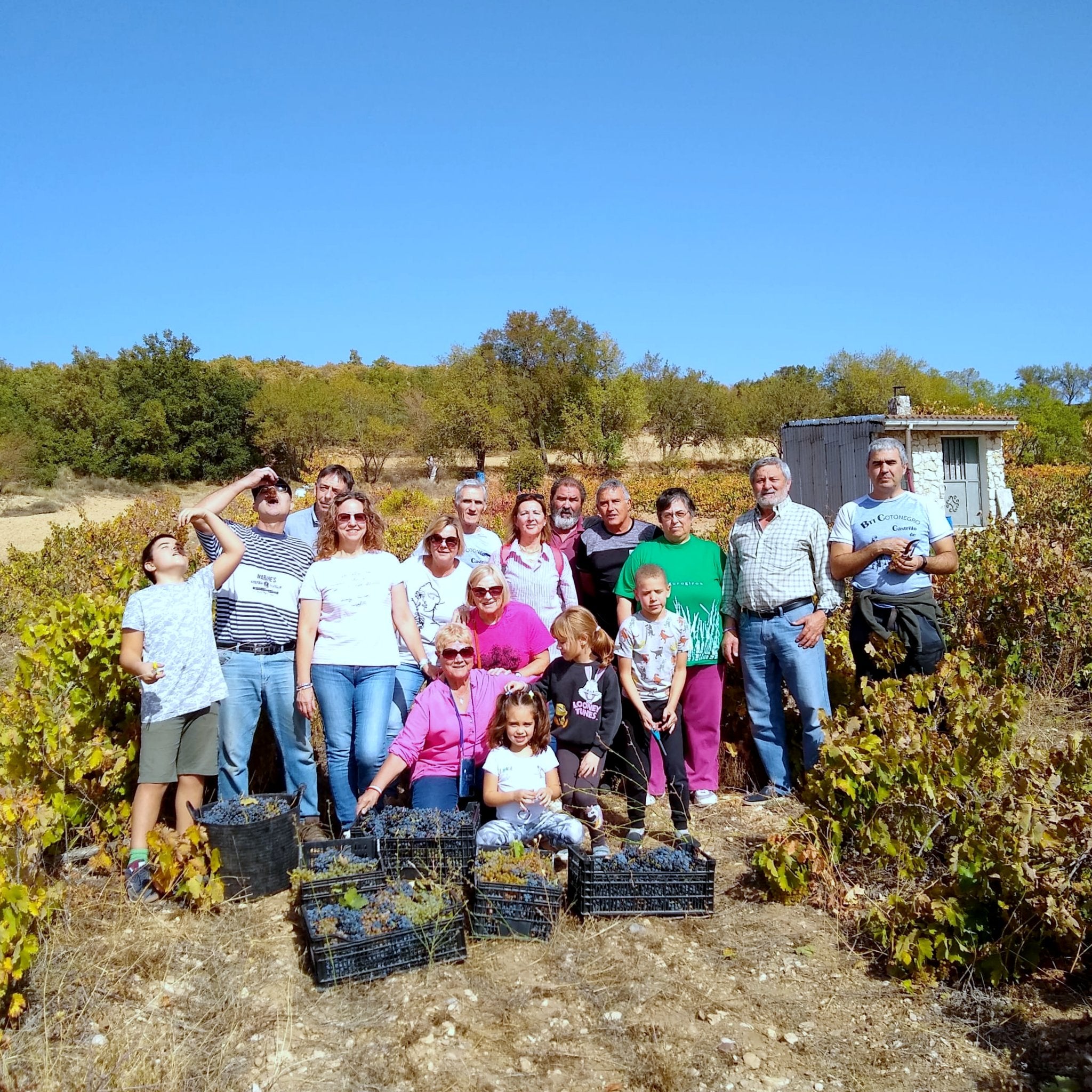 XIV Fiesta de la Vendimia en Castrillo de Don Juan