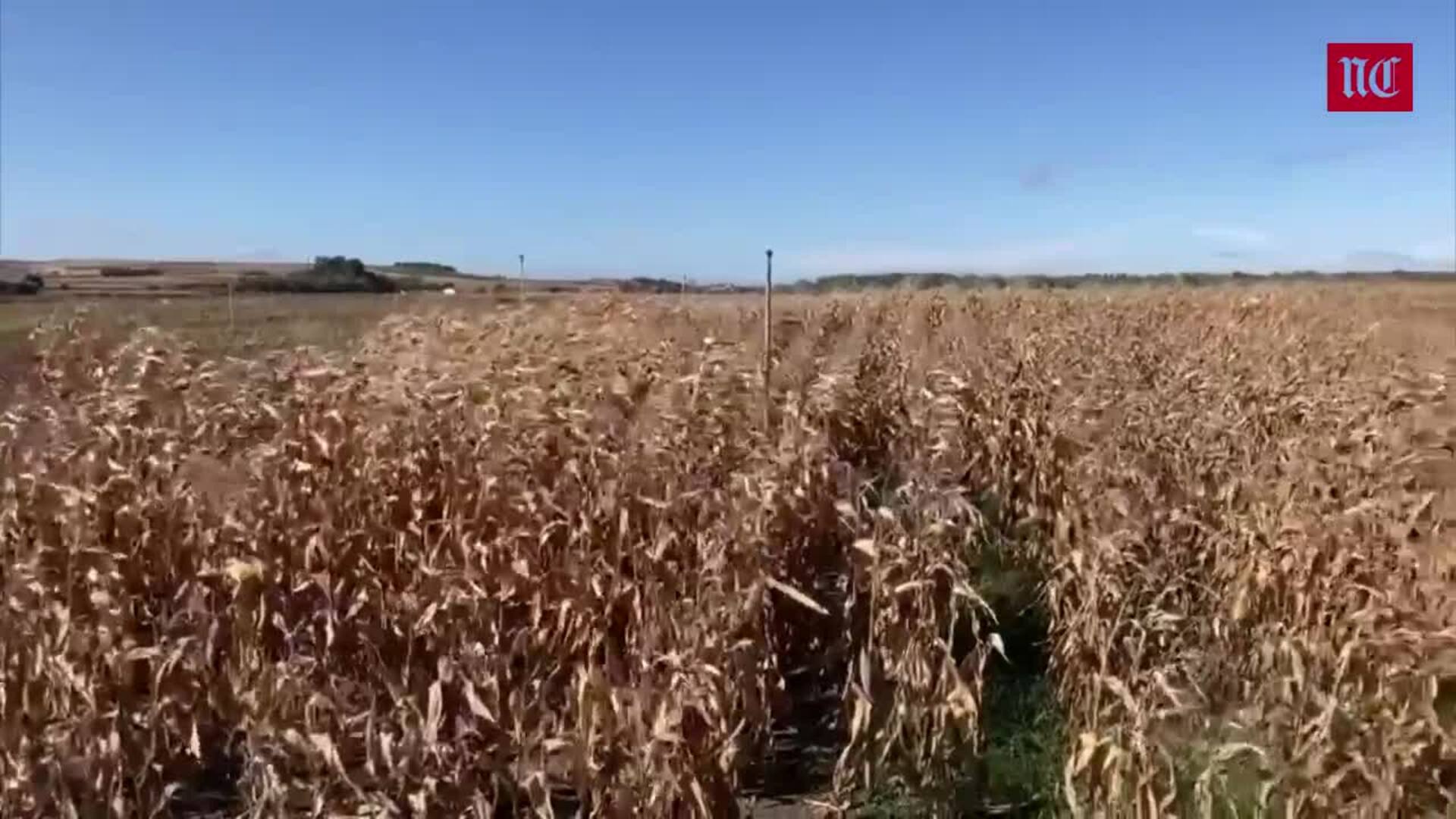 El tiempo esta semana en Castilla y León: a la espera de nuevas lluvias que animen las siembras