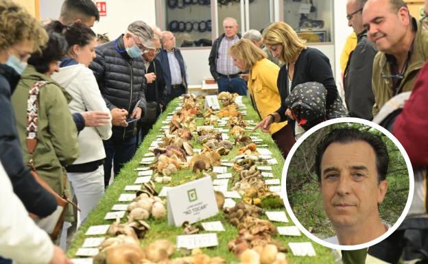 Los recolectores de níscalos vaticinan una gran campaña «si las heladas tardan en llegar»