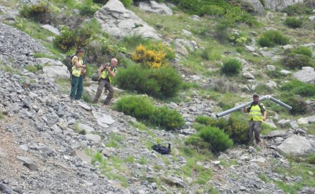 Ecologistas pedirá a la Fiscalía la suspensión cautelar de las cacerías de jabalíes