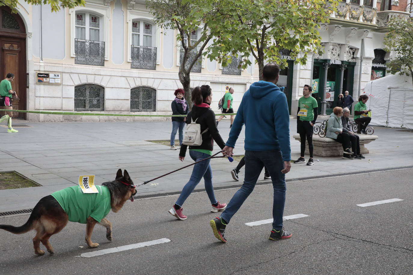 La marcha contra el cáncer llena Valladolid de verde