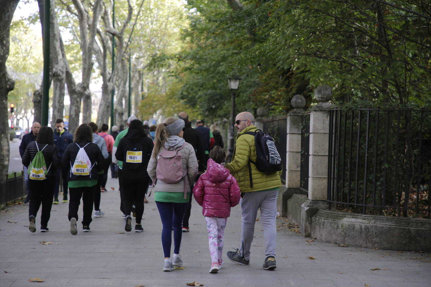 La marcha contra el cáncer llena Valladolid de verde