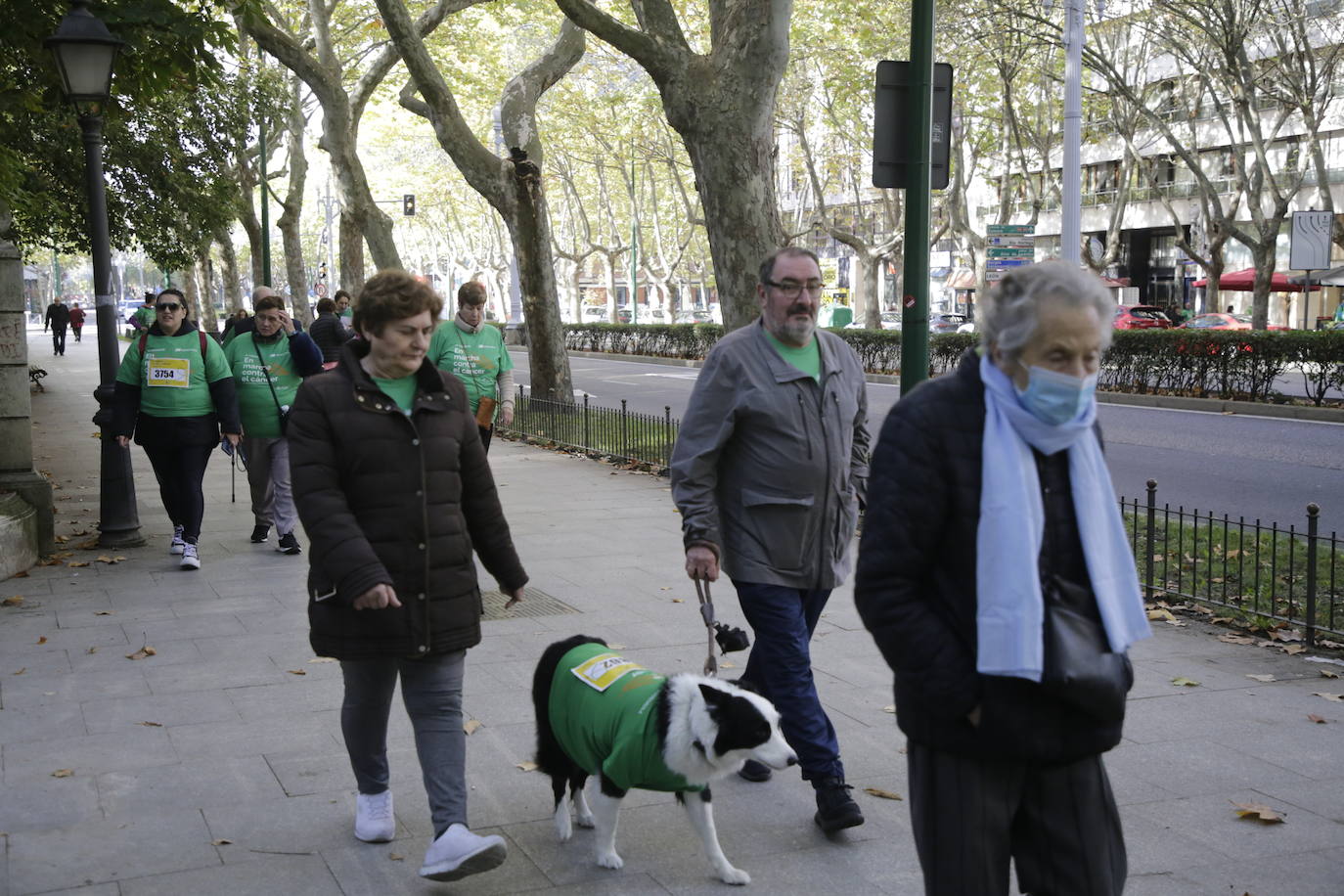 La marcha contra el cáncer llena Valladolid de verde