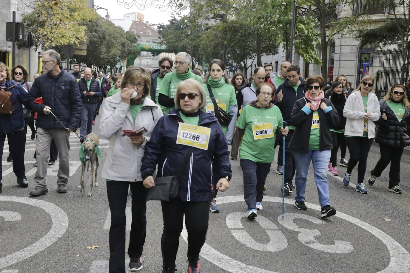 La marcha contra el cáncer llena Valladolid de verde