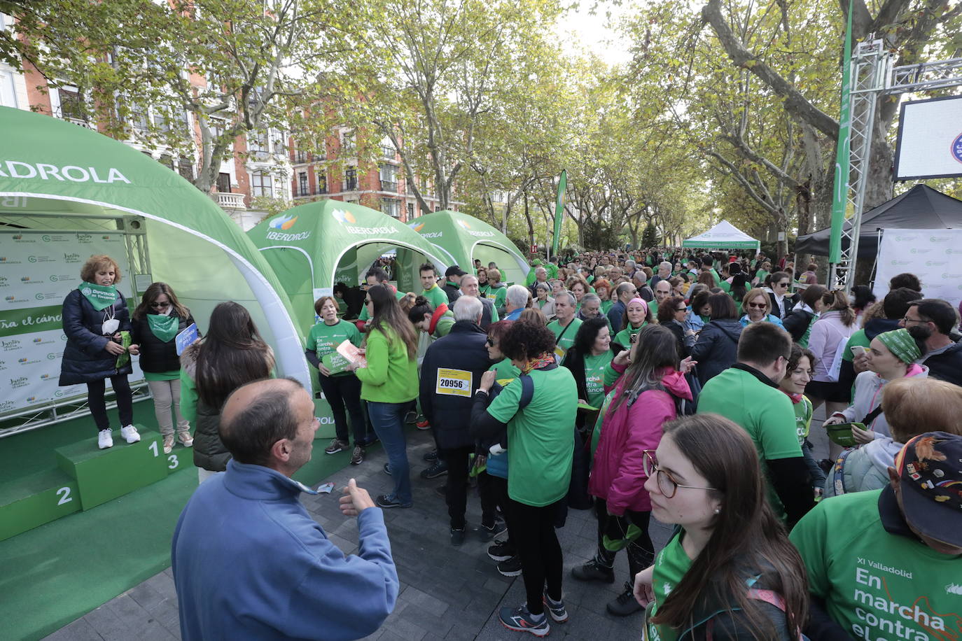 La marcha contra el cáncer llena Valladolid de verde