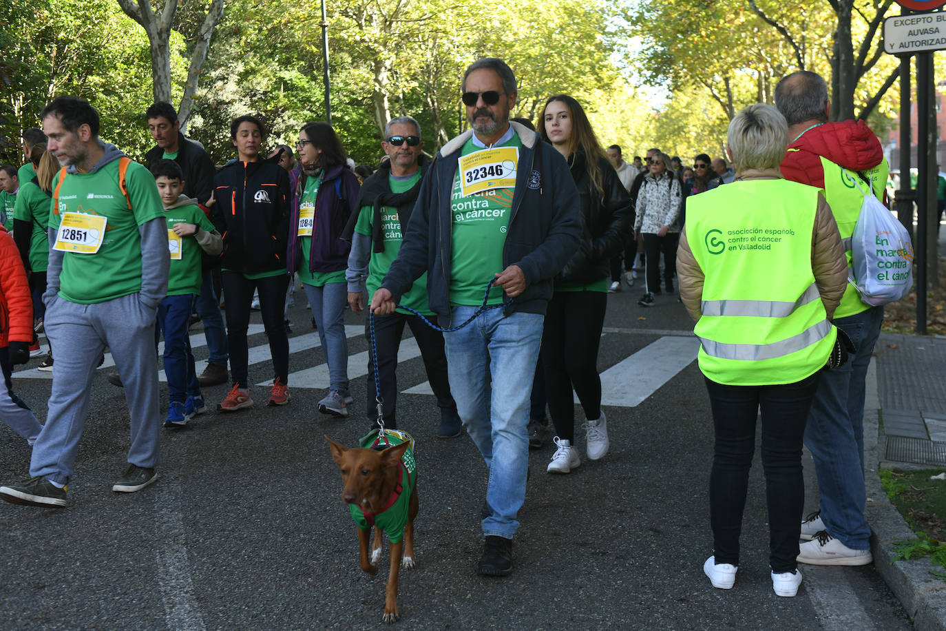 Búscate en las fotos de la XI Marcha Contra el Cáncer