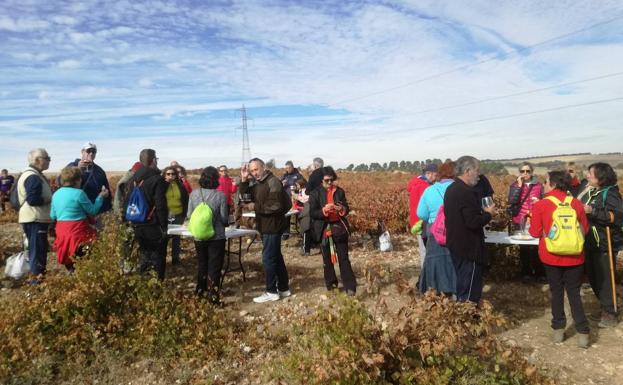 Mucientes prepara su tradicional 'rebusca'