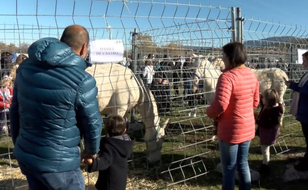 «La Feria del Ganado es nuestro fin de semana más importante»