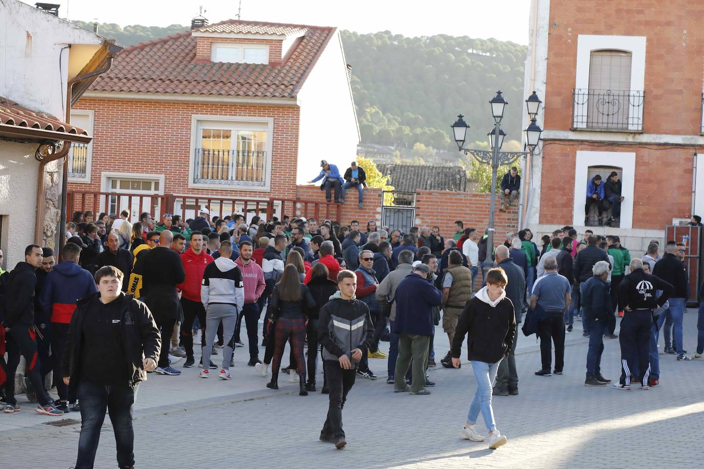 Galería de imágenes | Encierro urbano de las fiestas de San Martín de Tours de Traspinedo