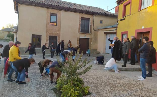 Villalán de Campos revive la centenaria tradición de correr las castañas