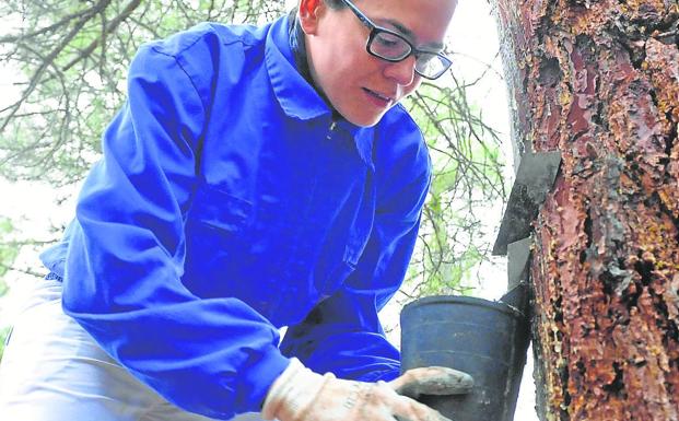 Tres de cada diez mujeres que trabajan en el medio rural tienen estudios universitarios