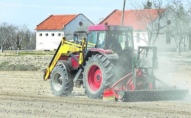 La nueva PAC y los sobrecostes siembran de incertidumbre el campo palentino