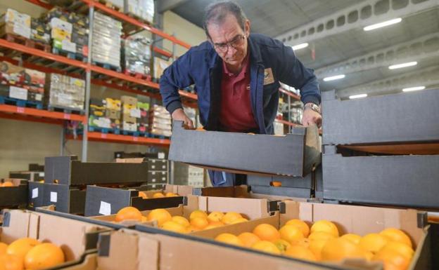 El Banco de Alimentos, fundamental para más de 15.000 personas en Valladolid