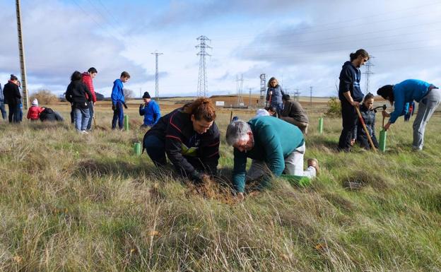 Becilla en Movimiento reforesta una parcela junto al río Valderaduey