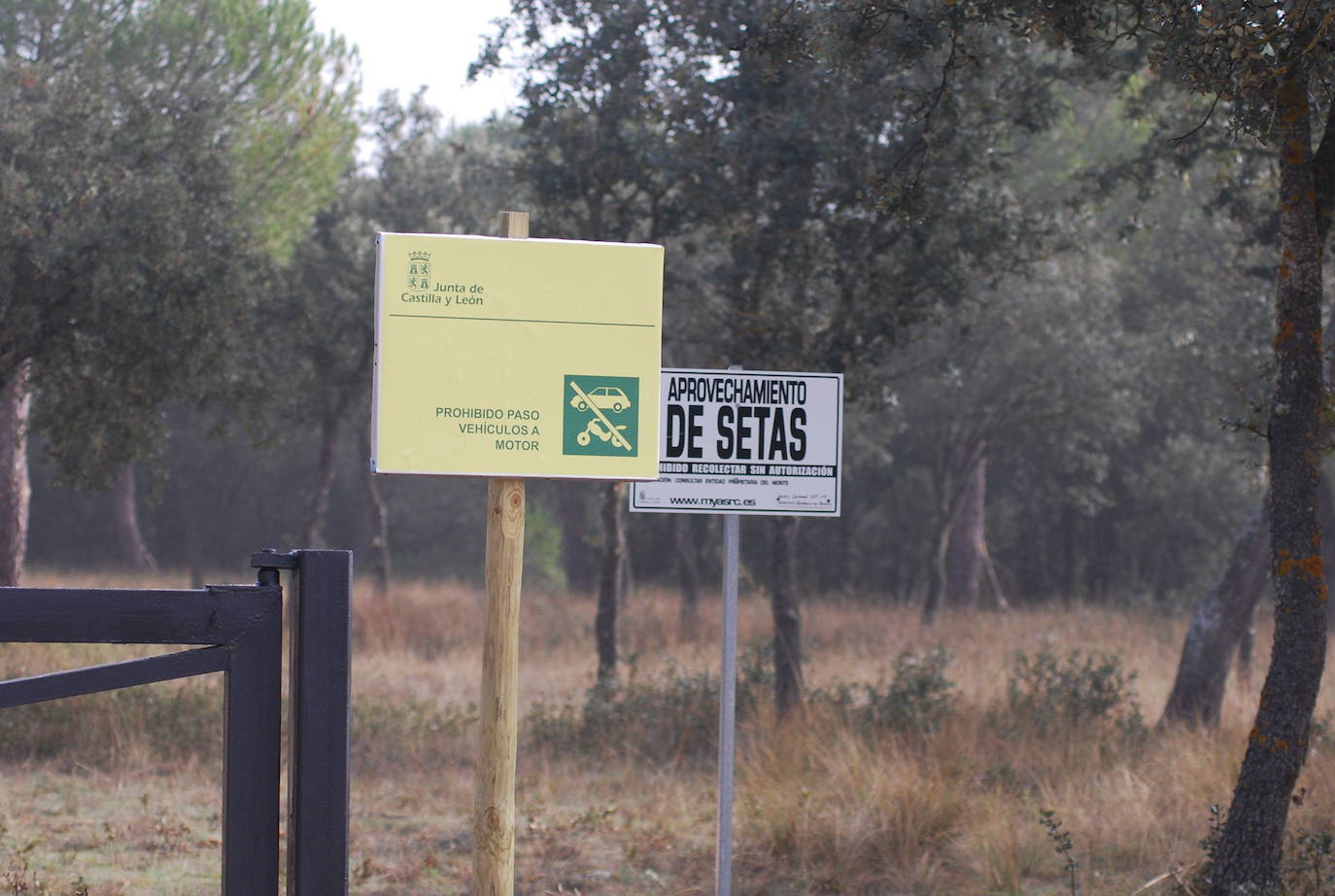 La Guardia Civil rescata a un hombre que se perdió recogiendo setas en La Parrilla