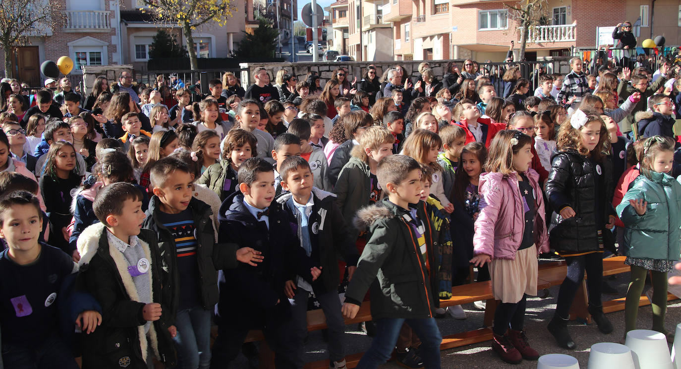Medio siglo de enseñanza en Cuéllar
