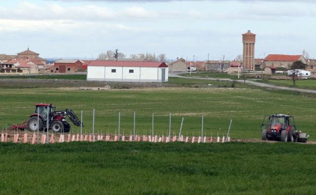 La incertidumbre protagoniza la campaña de siembra en Segovia tras una mala cosecha