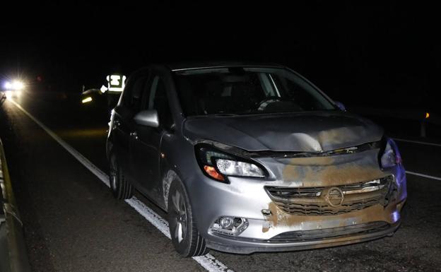 Un vehículo queda inmovilizado en la carretera cerca de Peñafiel tras chocar con un jabalí