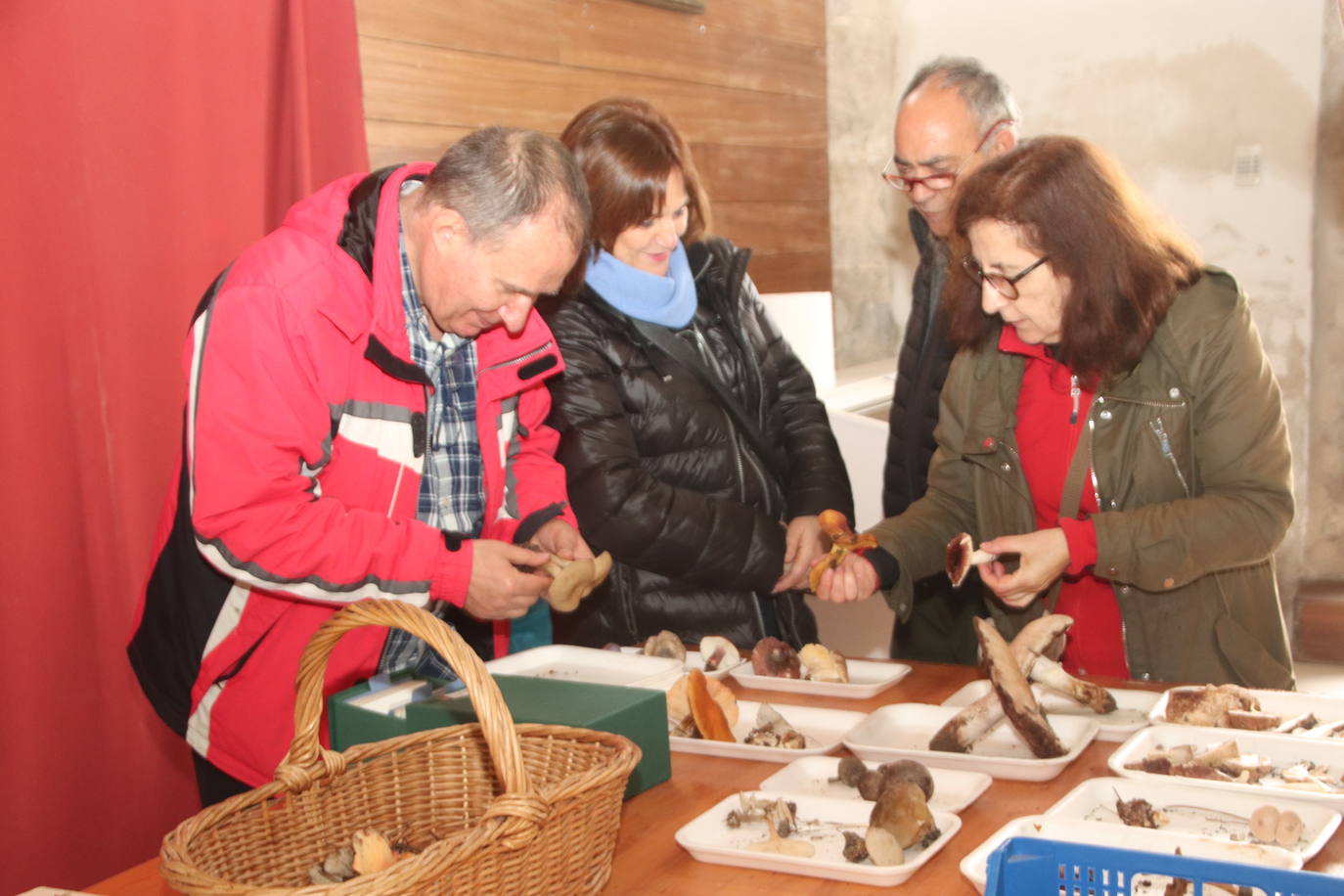 Las jornadas micológicas de Cuéllar consiguen reunir más de un centenar de especies