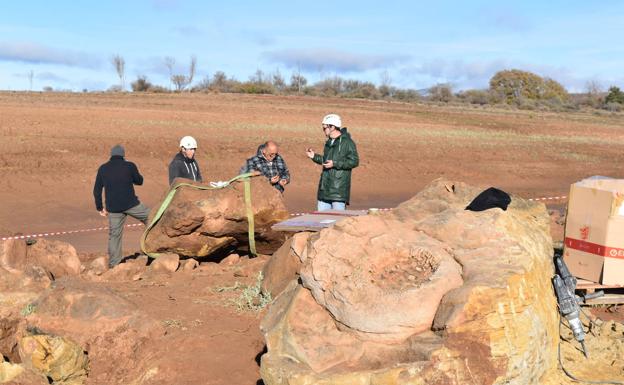 Batalla por la extracción de fósiles en el pantano de Aguilar