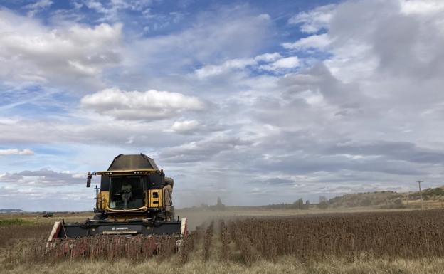 Cinco puntos clave que todo agricultor debe tener en cuenta ante la nueva PAC