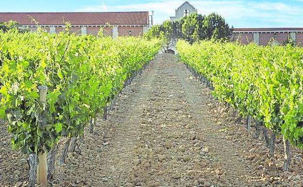 Los vinos de Carramimbre, elegancia y personalidad