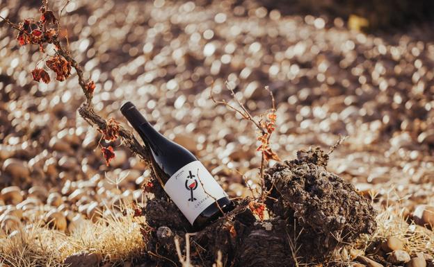 El despertar de la 'Cenicienta' para el vino 'Colorado'