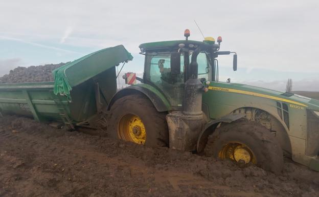 La lluvia paraliza la campaña remolachera en las fábricas de Olmedo y Toro