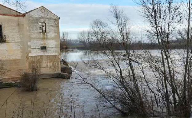 El Pisuerga alcanza su punta del año a su paso por Valladolid