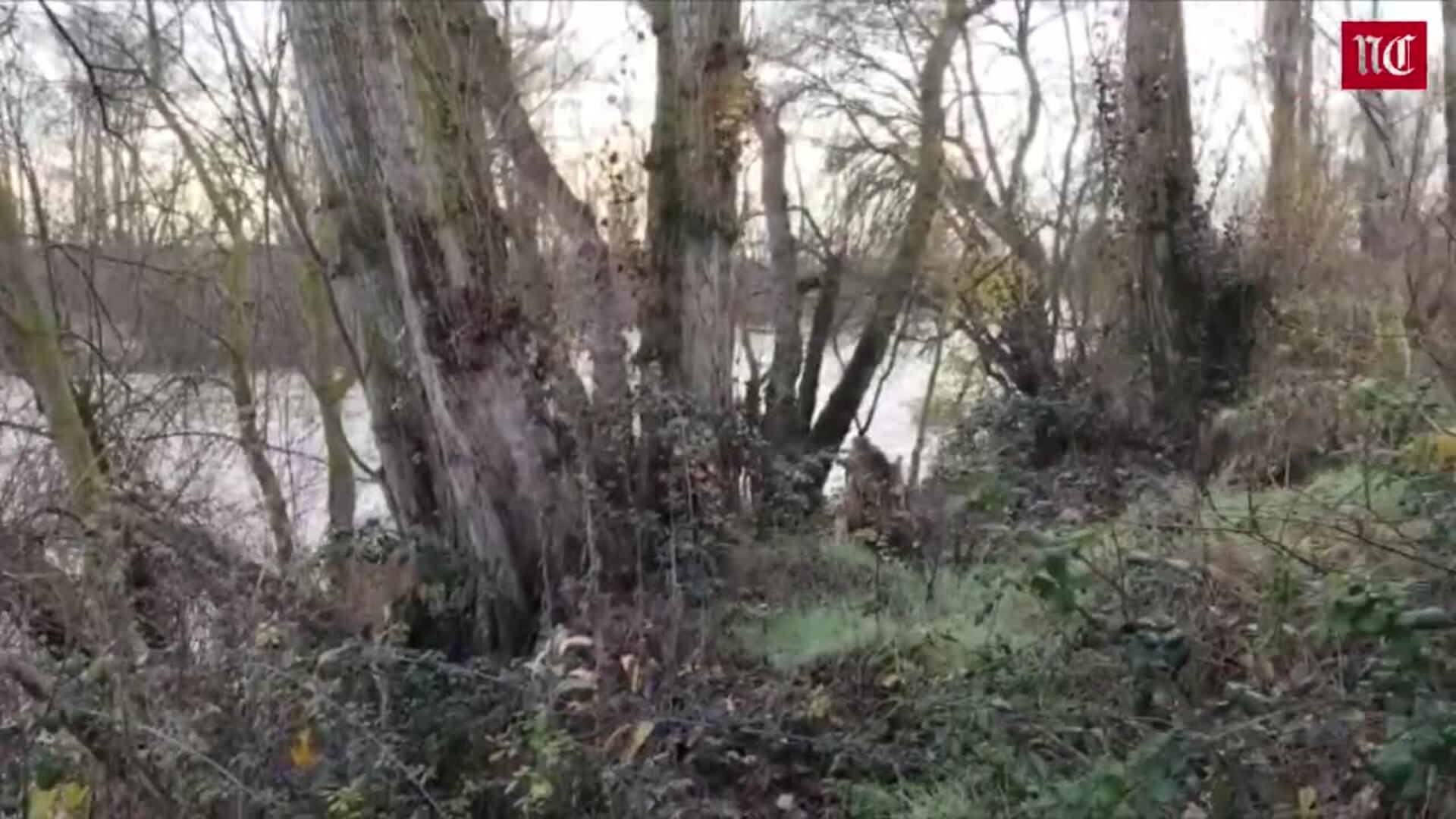 El Pisuerga alcanza su punta del año a su paso por Valladolid