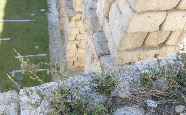 La retirada de la vegetación del Acueducto empezará antes de final de año