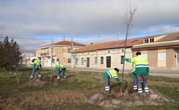 Cuéllar refuerza el mantenimiento de los barrios con tres operarios