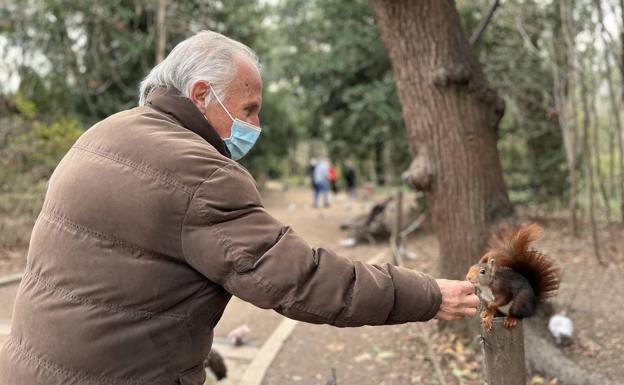 Las pensiones subirán a partir de enero