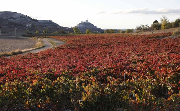 La riqueza de un territorio para seducir al viajero