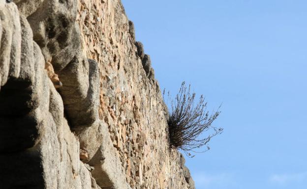 Así está el Acueducto a pocas horas de que le quiten las malas hierbas