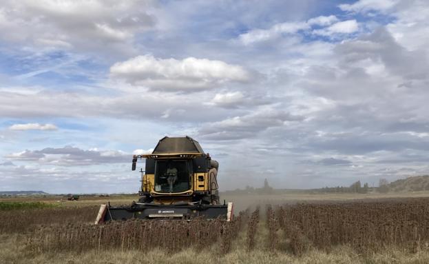 El sector agrario despide un 2022 de bajas producciones y altos costes