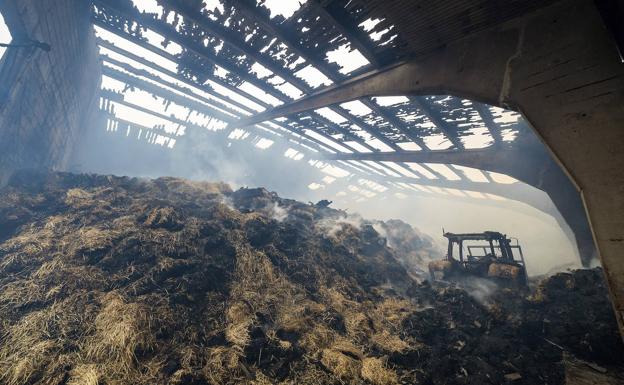 Un incendio en una nave ganadera en la provincia de Burgos deja 300 ovejas muertas