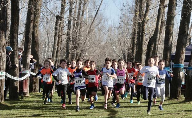 Todas las fotos del Cross Rondilla Las 12 Uvas