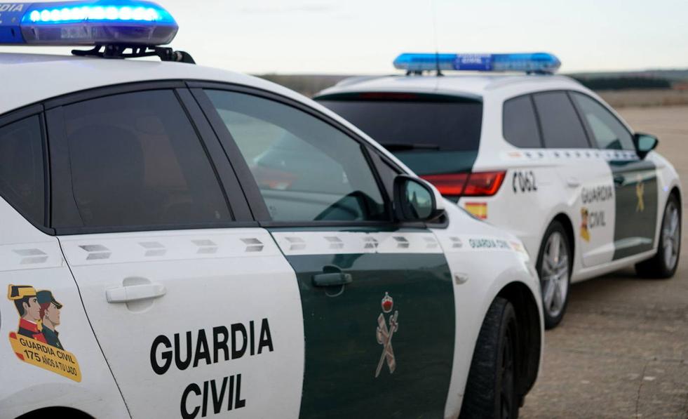 Tres detenidos tras desmantelar dos laboratorios de marihuana en Ávila