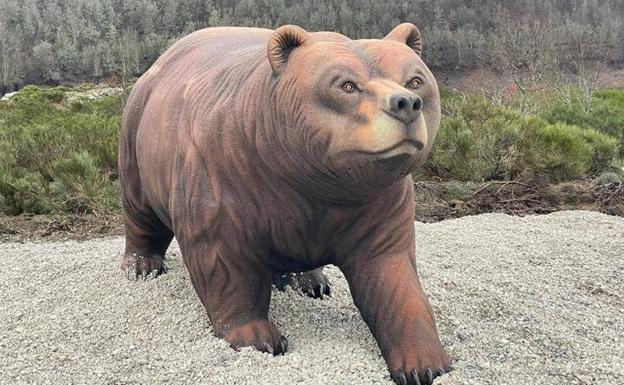 Un oso amigo de las fotografías