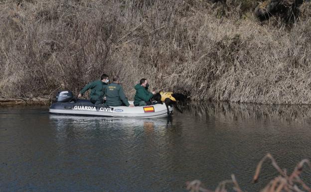 Investigado el jefe de los GEAS de Castilla y León por supuestas irregularidades