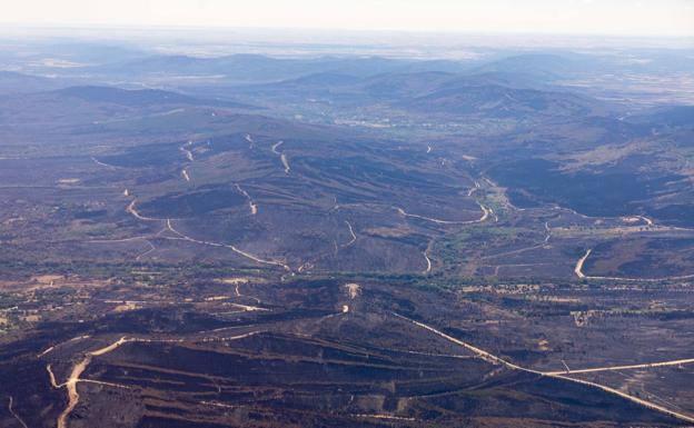 Los bomberos forestales, ante el archivo de diligencias del fuego que arrasó Zamora: «Es un despropósito»