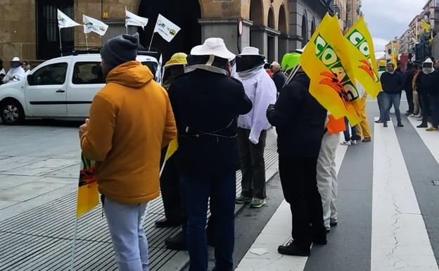 Los apicultores marchan en Salamanca por la supervivencia del sector