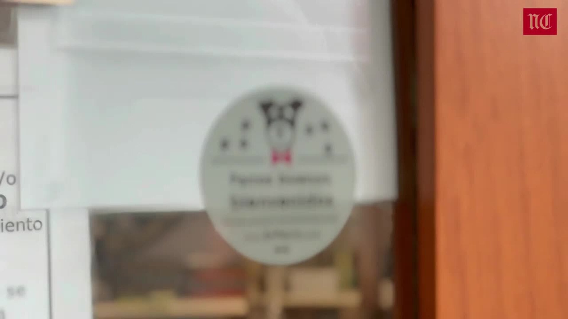 Comer y beber en Valladolid: cinco lugares para acudir con tu mascota