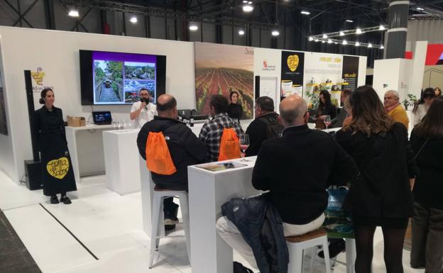 Cigales pone en valor su potencial turístico en Fitur